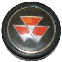 Steering wheel cap with logo
