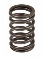 Valve spring Ford tractor