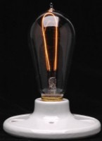 Edison model 1900 carbon filament bulb, 110V