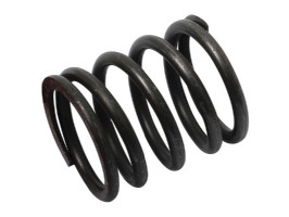 Outer valve spring Ferguson TEF