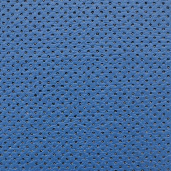 Dak foam met perforatie blauw