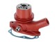 DB7001 K911964, K262986Waterpomp David Brown met bypass
