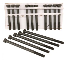 Head Bolt Kit. Ford