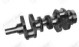 H10580 C5NE6303N krukas ford