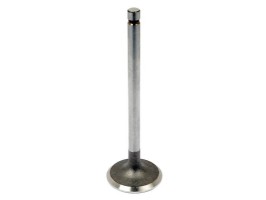 Intake valve. Ford 2000 and up