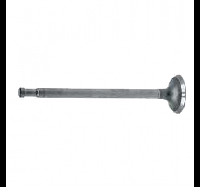 Intake valve Mc.Cormick D-serie (1)