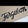 Ferguson TE side emblem