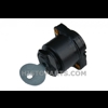 Ingintion switch