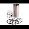 Piston ring and linerkit Dexta