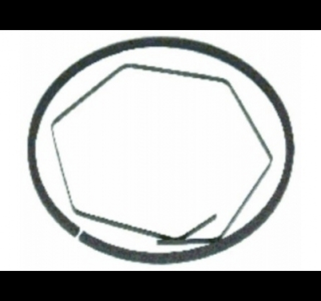 Ring for IH 8151