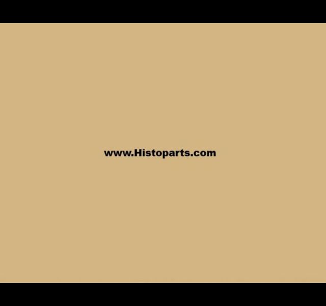 RAL 1001, Beige. 1 Liter