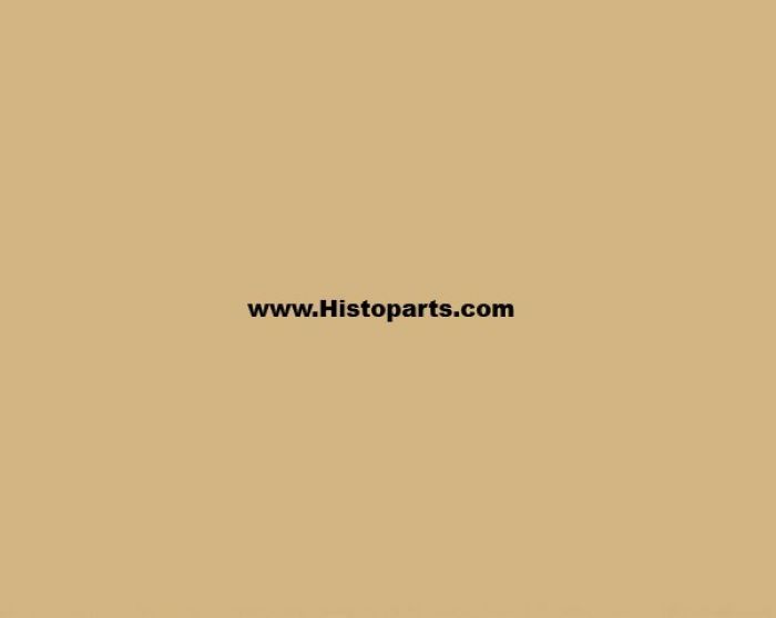 RAL 1001 Beige 1 Liter