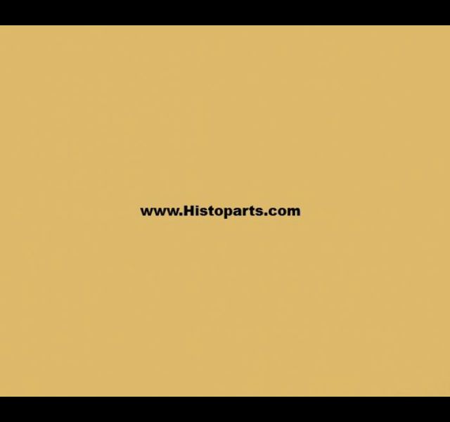 RAL 1002, beige. 1 Liter