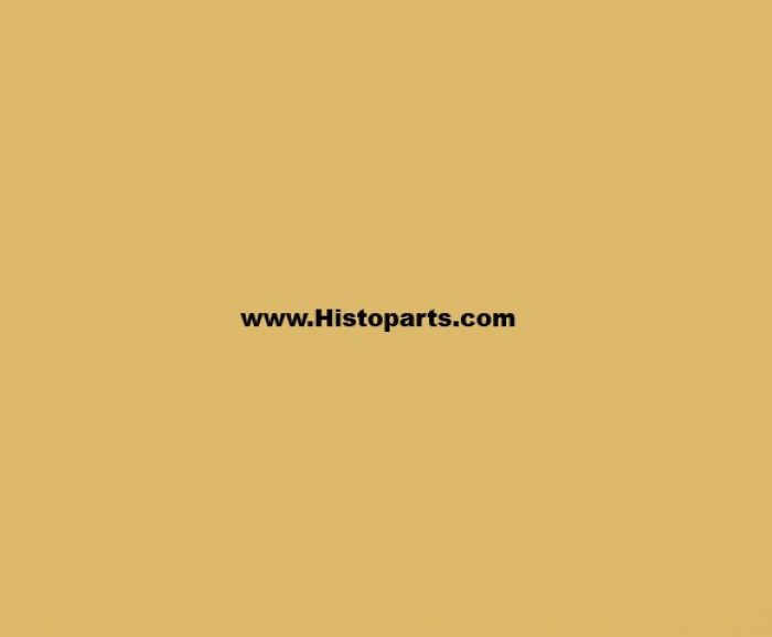 RAL 1002 Beige 1 Liter