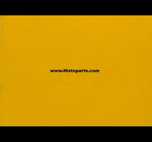 RAL 1004, gold-yellow. 1 Liter