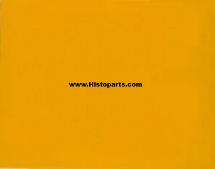 RAL 1006 Mais-geel 1 Liter