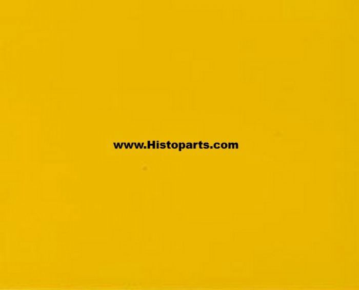 RAL 1012 Citroen-geel 1 Liter