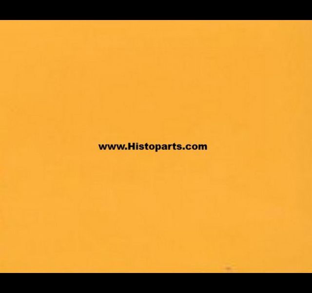 RAL 1017, Saffron yellow. 1 liter