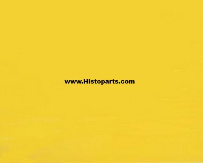 RAL 1018 Zinc-yellow. 1 Liter
