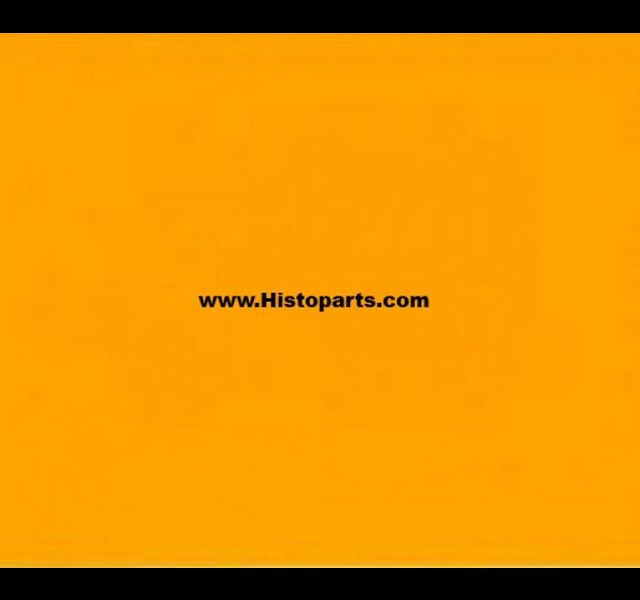 RAL 1028, Melon-yellow. 1 liter