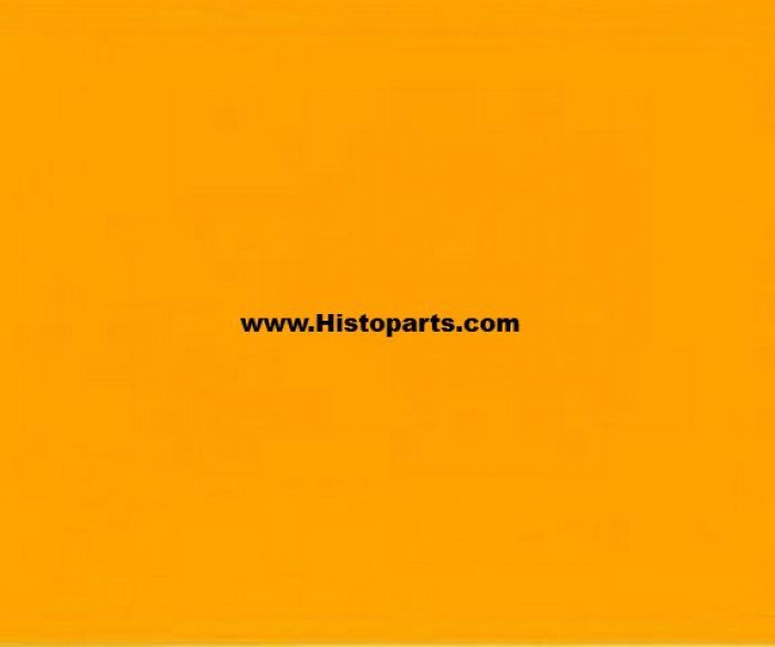 RAL 1028 Melon-yellow 1 Liter