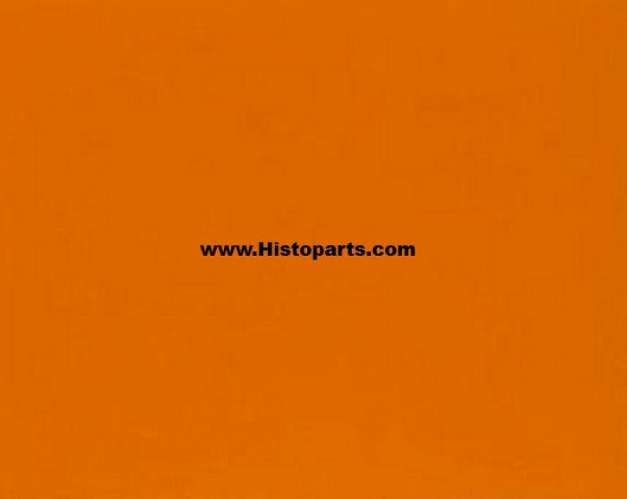RAL 2000 Geel-oranje 1 Liter