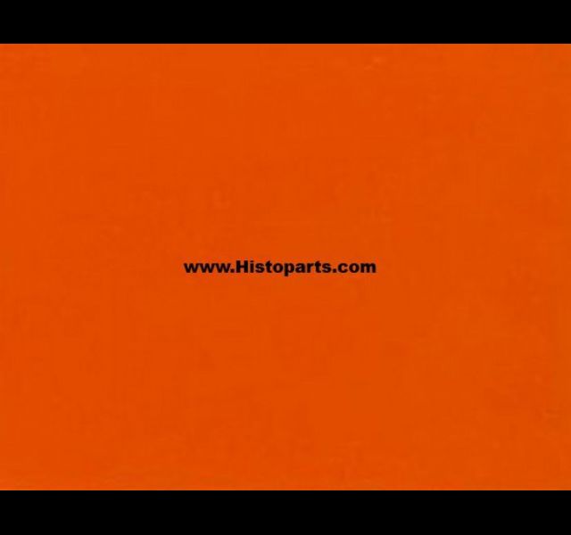 RAL 2009, Traffic-orange. 1 liter