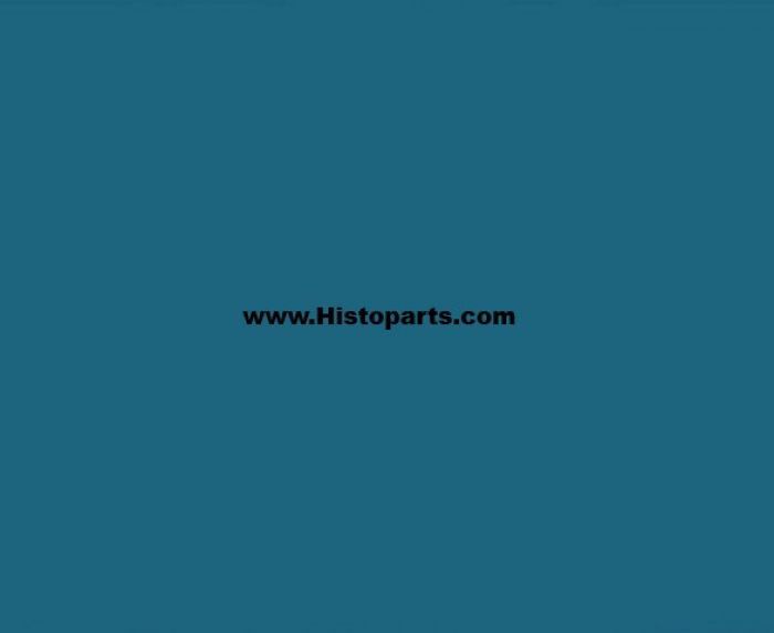 RAL 5009, Azuur-blauw. 1 Ltr