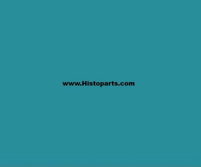 RAL 5018, Turquoise-Blue. 1 Ltr