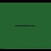 RAL 6002, Loof-groen. 1 Ltr