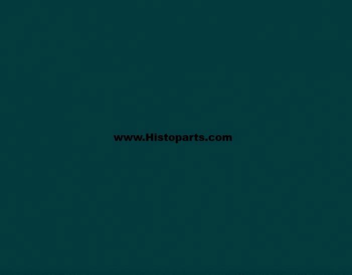 RAL 6004, Blue-green. 1 Ltr