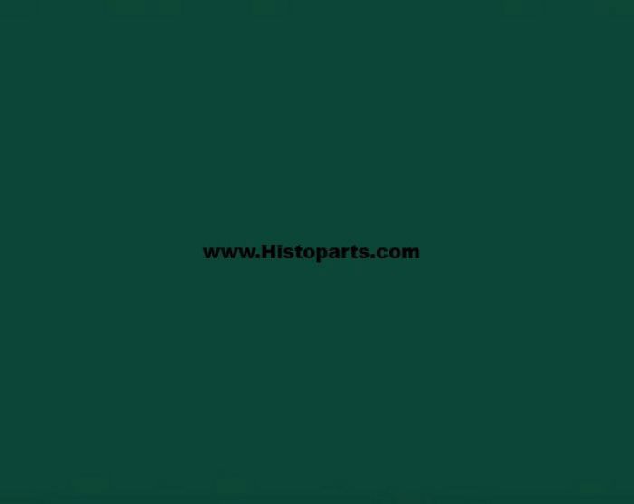 RAL 6005, Moss-green. 1 Ltr