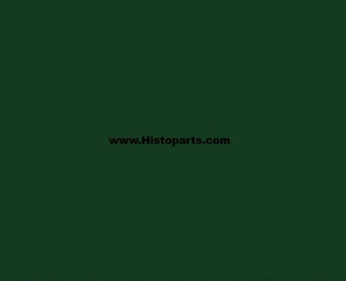 RAL 6007, Fles-groen. 2.5 Ltr
