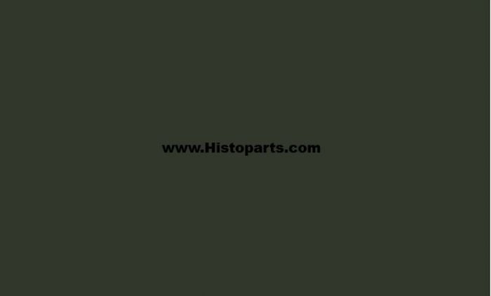 RAL 6009, Dennen-groen. 1 Ltr