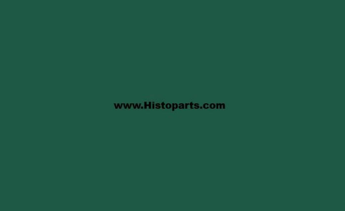 RAL 6016, Turquoise-green. 1 Ltr