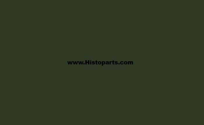 RAL 6020, Chrome-green. 1 Ltr