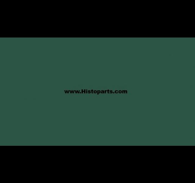 RAL 6028, Pine-green. 1 Ltr