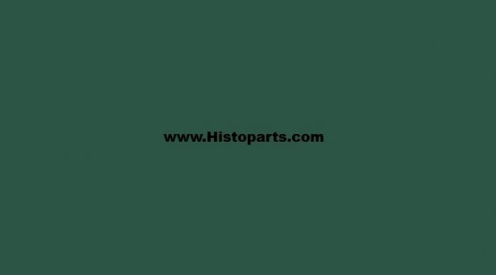 RAL 6028, Dennen-groen. 1 Ltr