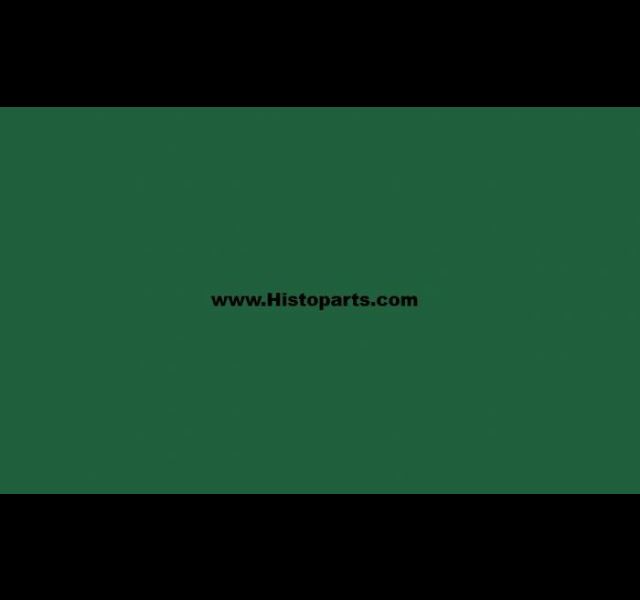 RAL 6029, Mint-green. 1 Ltr