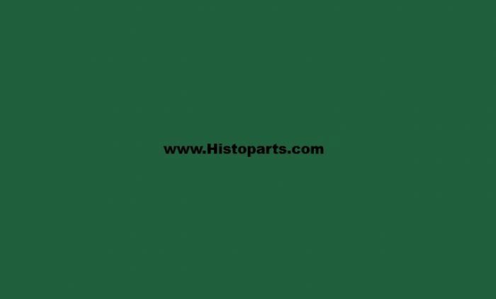 RAL 6029, Mint-green. 1 Ltr