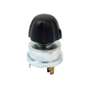Light switch and knob, as original