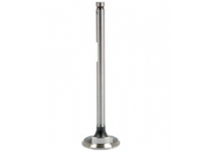 Intake valve Nuffield 3DL to 10/60