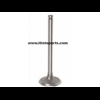 Intake valve Farmall M & W6. 50731DA