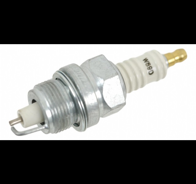 Champion W89D spark plug