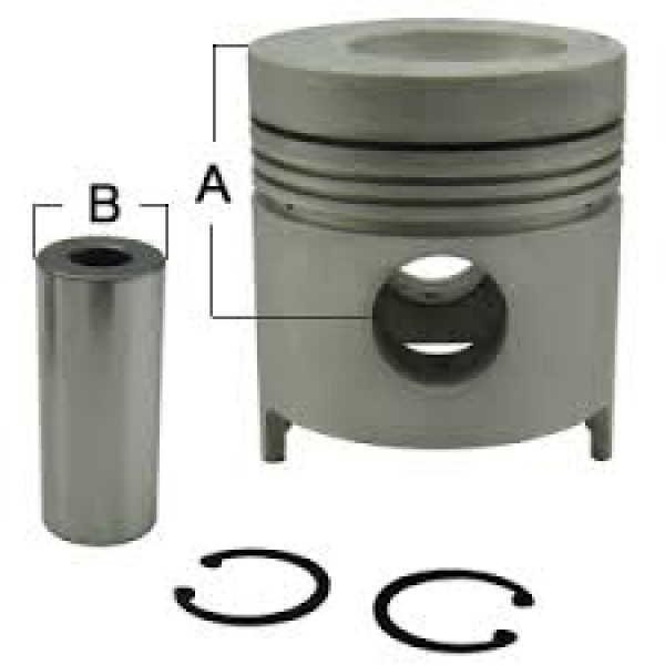 Piston, Pin & Clips