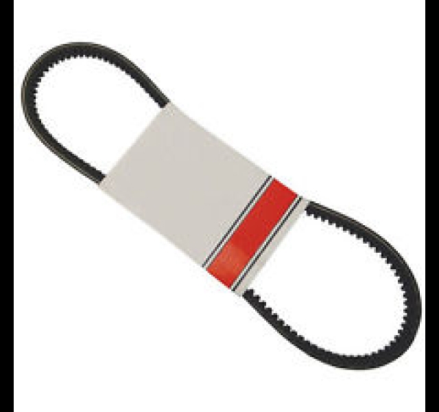 Fan belt, International