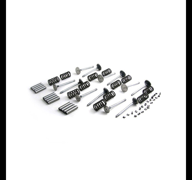 Complete kleppenset, International D414, DT414, DT436