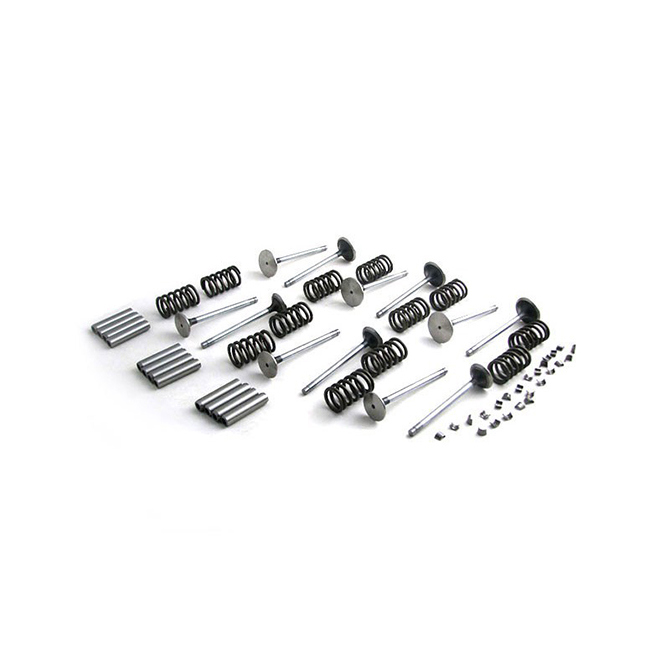 Complete kleppenset, International D414, DT414, DT436