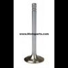 Intake valve, Continental Z120