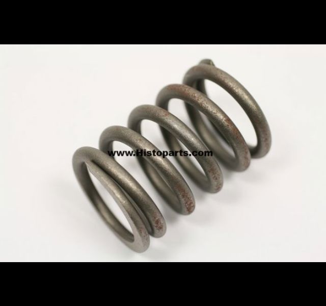 Valve spring. International